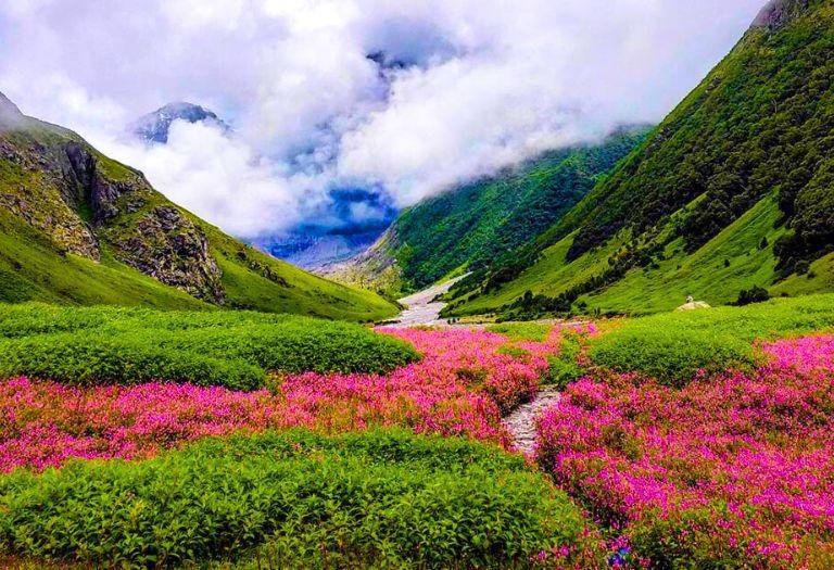 Valley of Flowers Trek